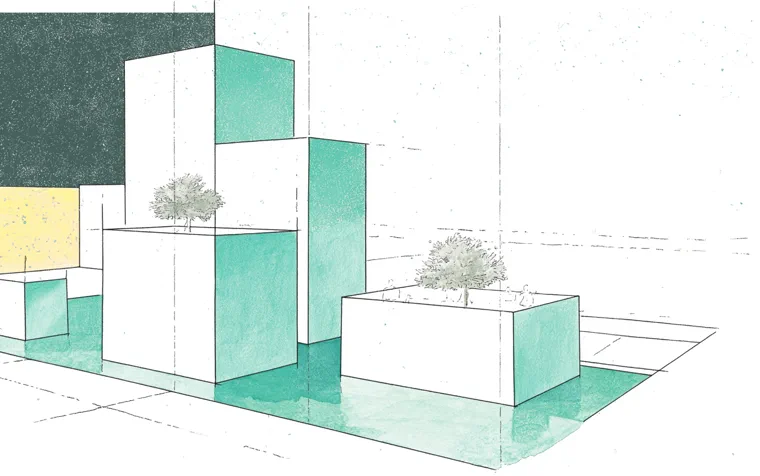 boxed plants